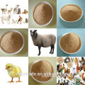 China wholesale high quality livestock concentrate feed